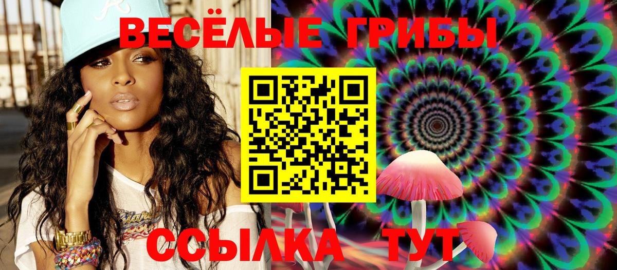 Тосно  продажа наркотиков  Псилоцибиновые грибы Magic Shrooms  Вход с VPN  Псилоцибиновые грибы GOLDEN TEACHER 