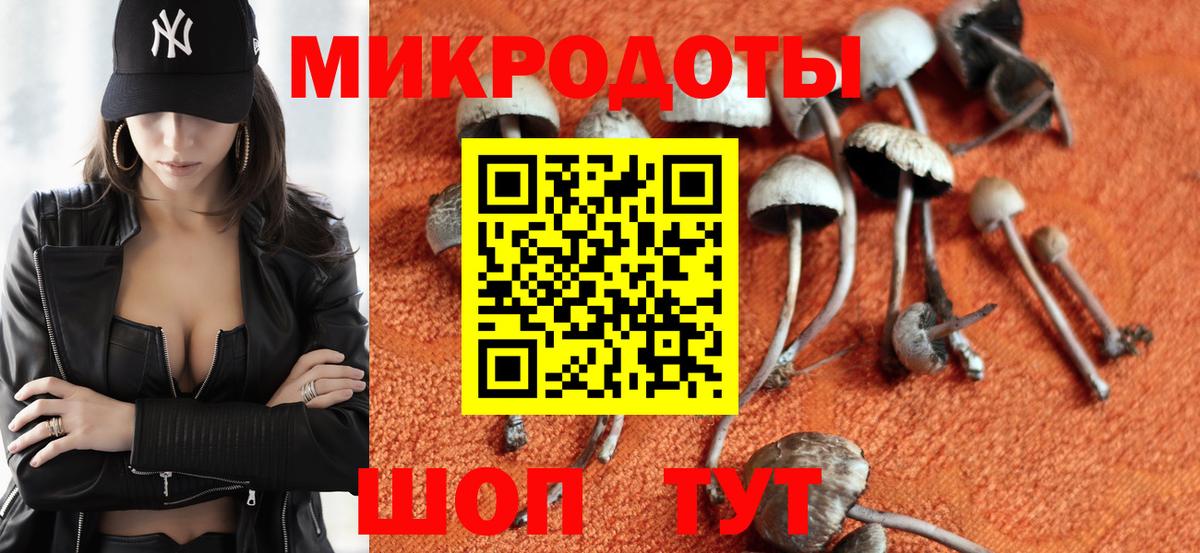 Псилоцибиновые грибы мицелий Тосно